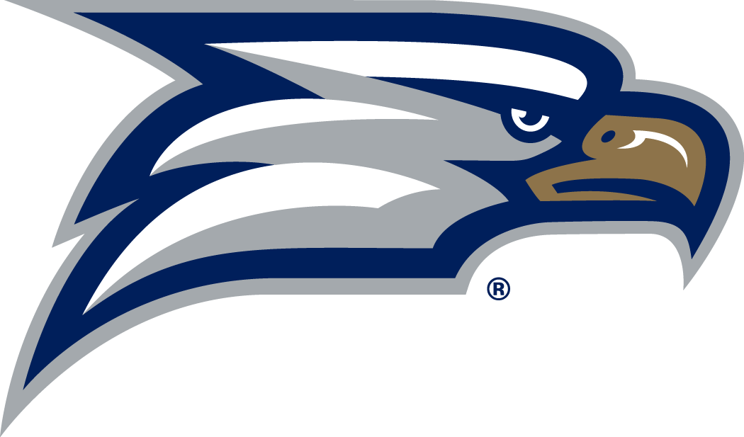 Georgia Southern Eagles 2010-Pres Secondary Logo diy iron on heat transfer